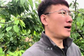 杨二狗和河南女友“2万分手费”反转网红卓越再被揭老底
